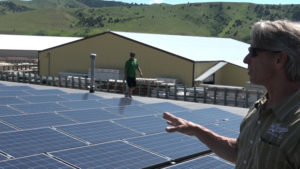 bozeman solar