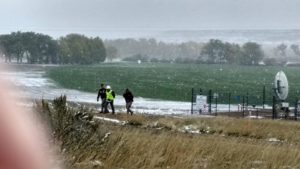 leonard higgins arrest