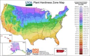 hardiness zones