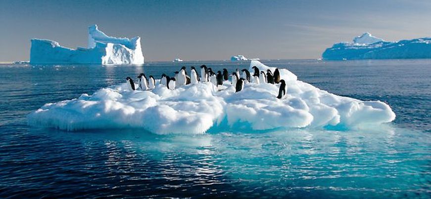 antarctic-sea-ice
